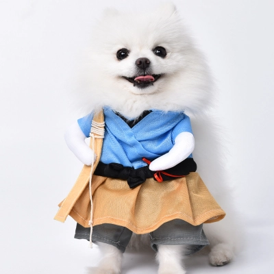 Pet Spring and Autumn Playful Transformation Costume 01