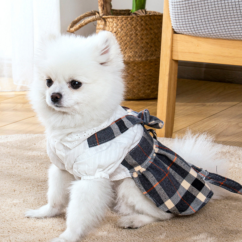 Pet Thin With Drawstring Chest And Back Princess Dress