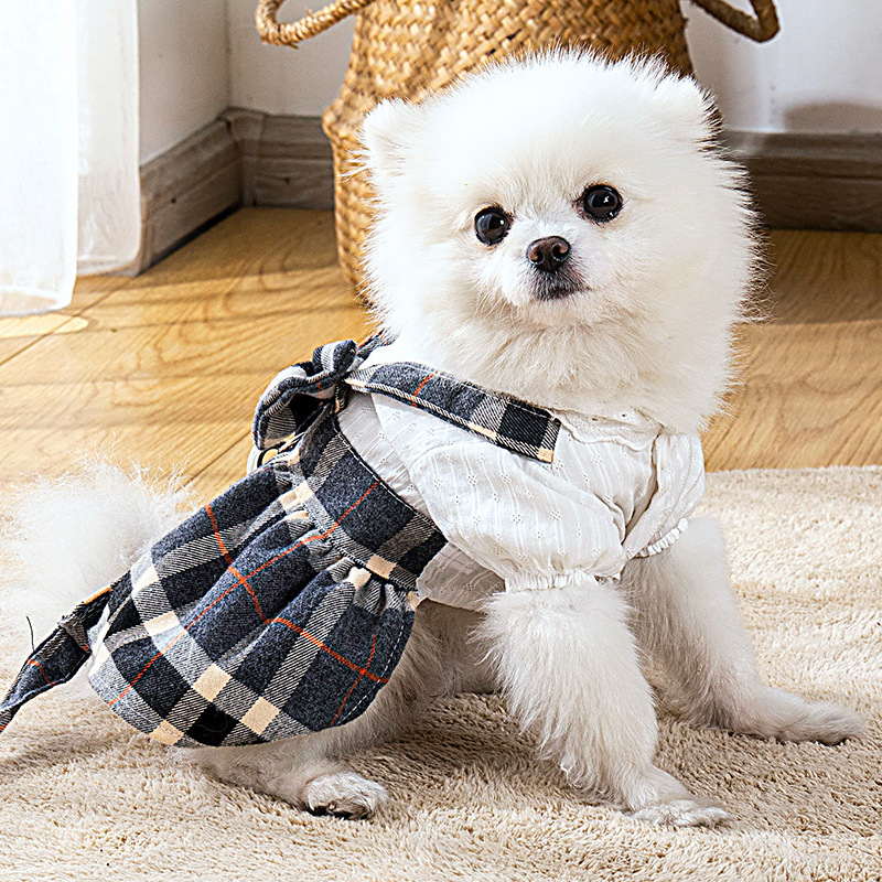 Pet Thin With Drawstring Chest And Back Princess Dress