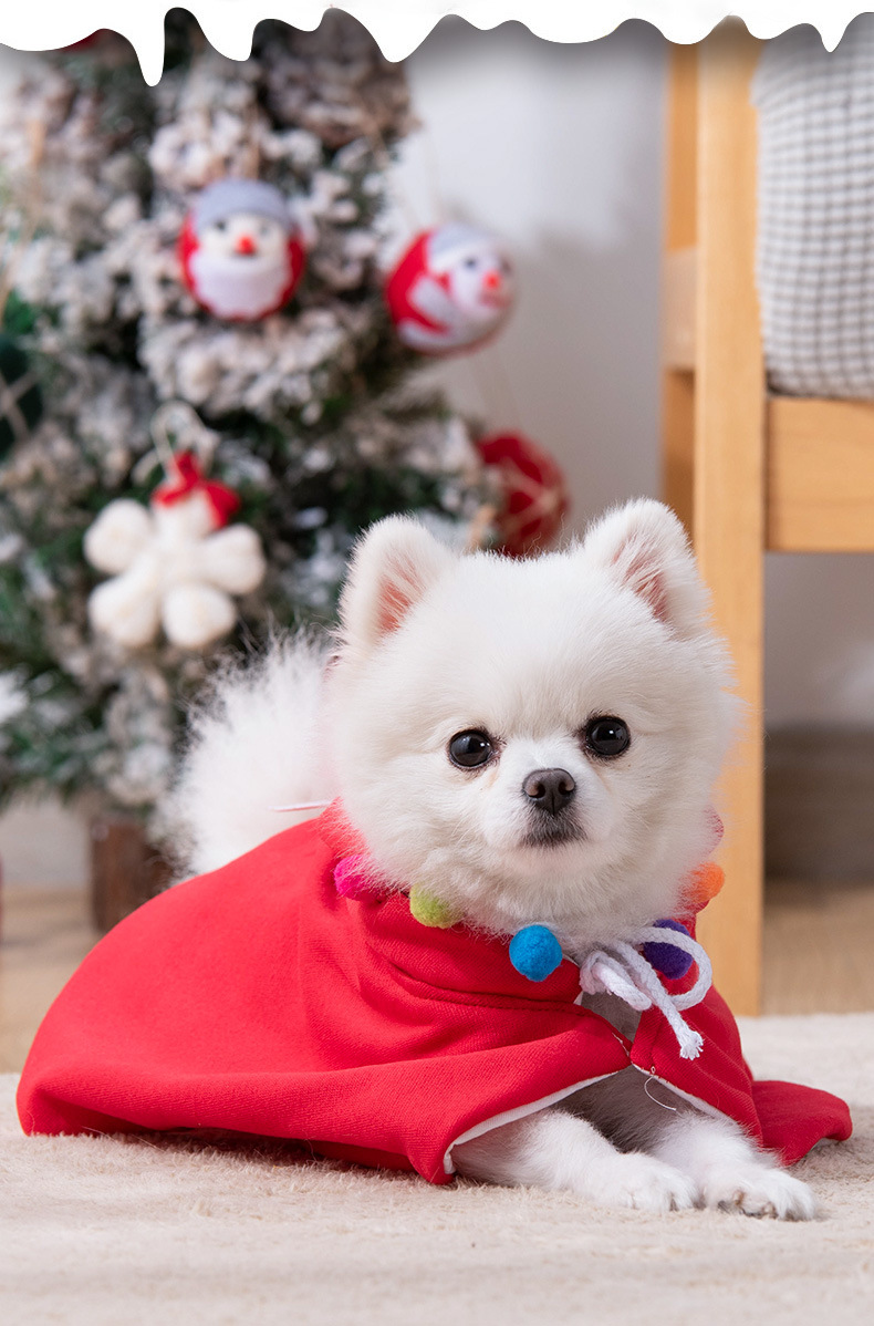 Christmas, Halloween, Transform Into Funny Cat Clothes, Cloak