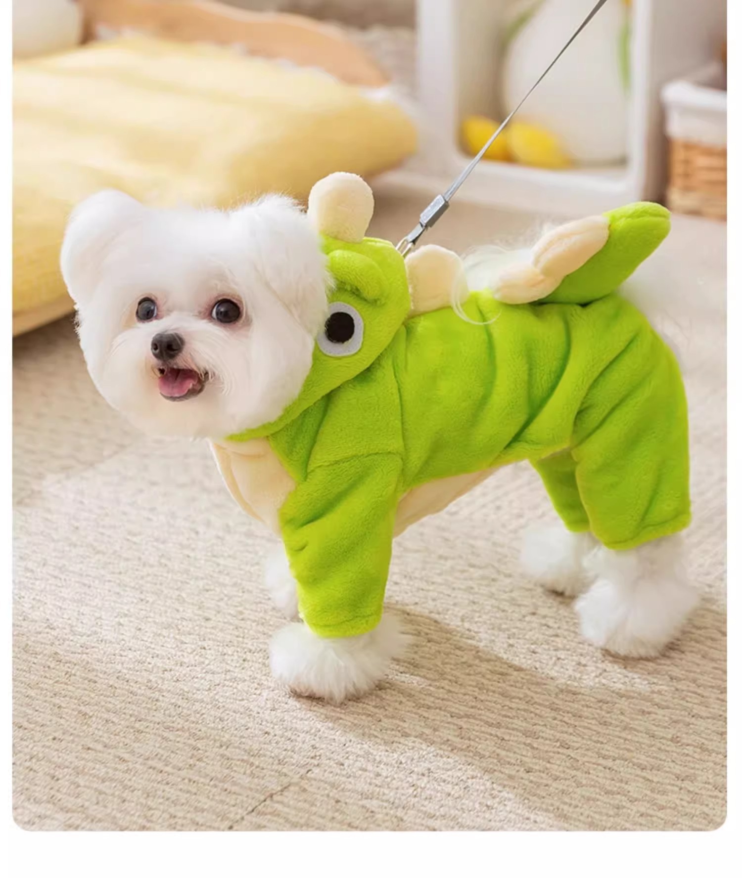 Cute Little Dinosaur Winter Dog Clothes