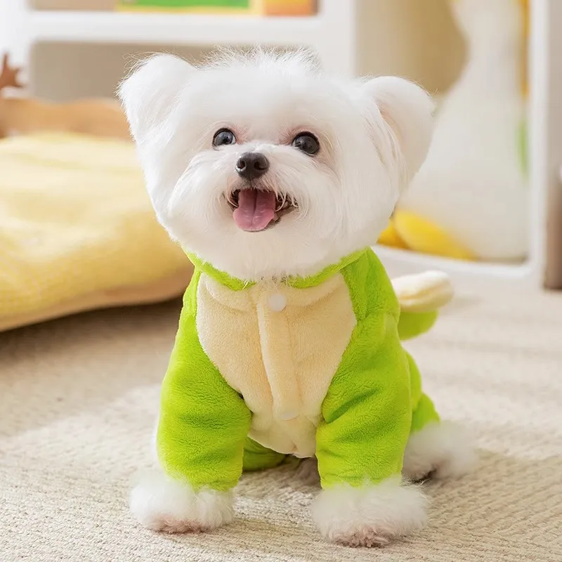 Cute Little Dinosaur Winter Dog Clothes
