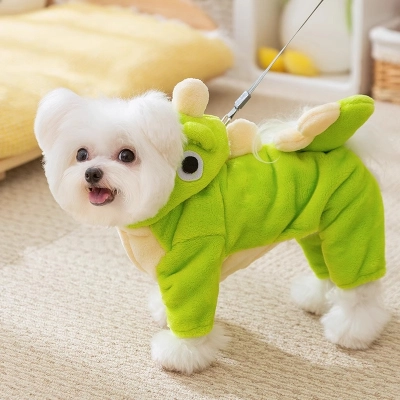 Cute Little Dinosaur Winter Dog Clothes 02