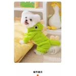 Cute Little Dinosaur Winter Dog Clothes