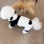 Pet Dog Autumn And Winter Four Legged Panda Clothing