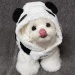 Pet Dog Autumn And Winter Four Legged Panda Clothing