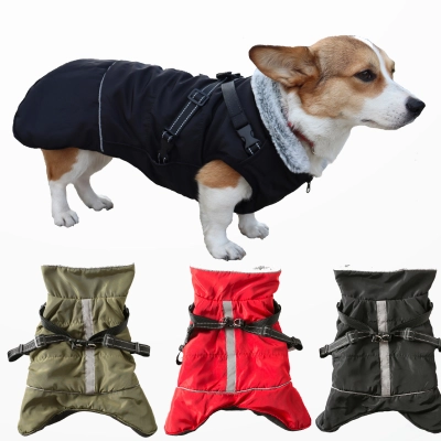 Small Dog Snow Jacket Thickened Winter Version 01