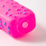 Voice Activated Pet Toy Simulation Ice Cream