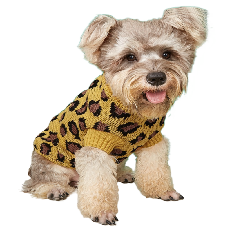 Halloween Dog Leopard Sweater for Autumn - Winter