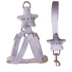 Star - shaped Pet Harness Leash Set