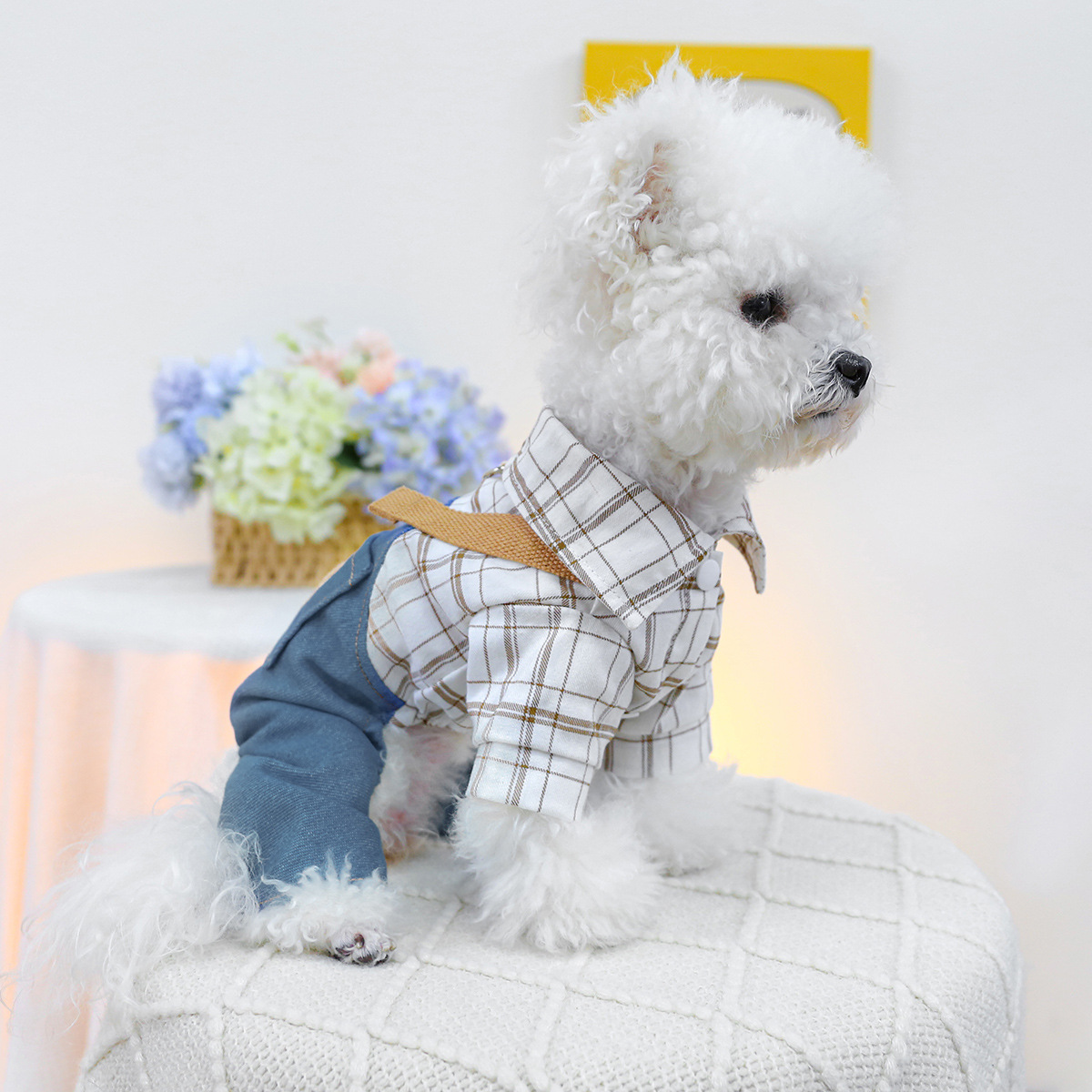 Pet Dog Four - legged Clothes Bear Overalls