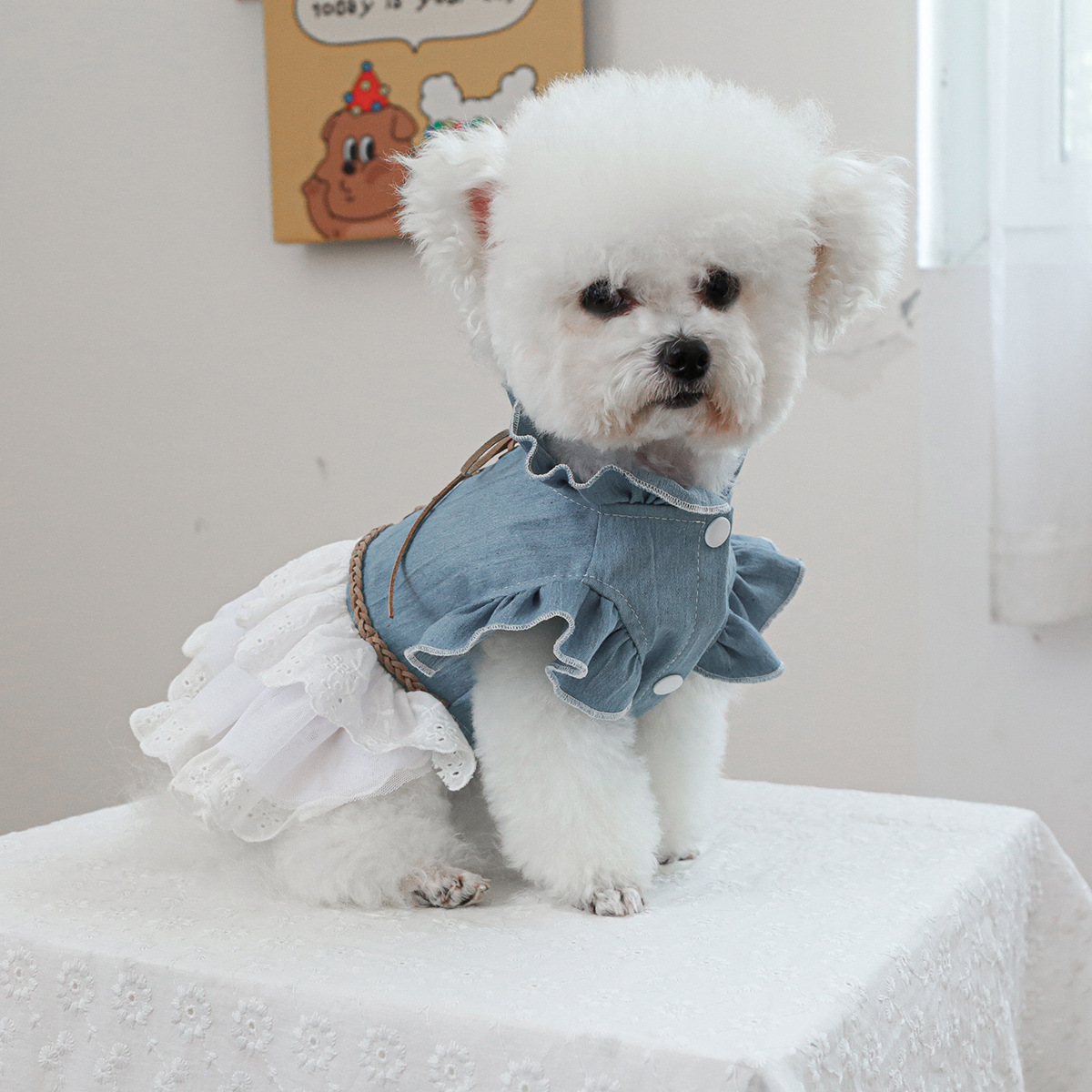 Adorable Modern Denim Dress for Pets