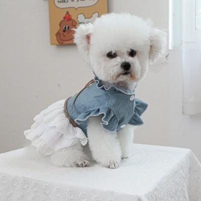 Adorable Modern Denim Dress for Pets 01
