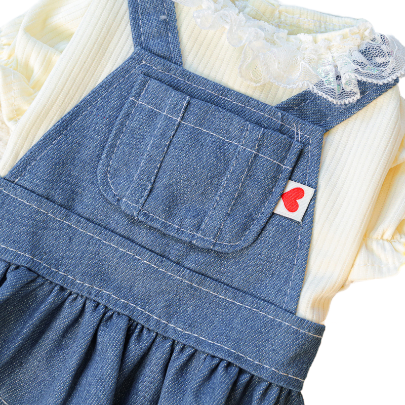 Cute Heart Denim Dress for Pets