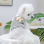 Summer Floral Stripe Pet Vest