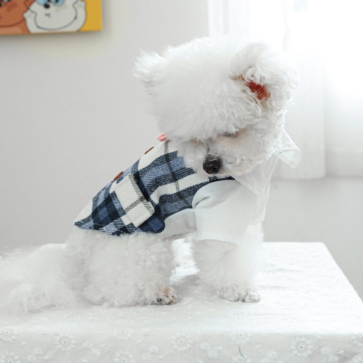 Pet Autumn Winter Warm Blue Checkered Tuxedo