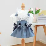 Pet Seaside Bowknot Holiday Denim Costume
