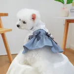 Pet Seaside Bowknot Holiday Denim Costume