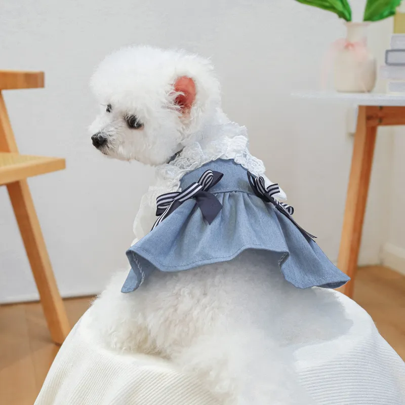 Pet Seaside Bowknot Holiday Denim Costume