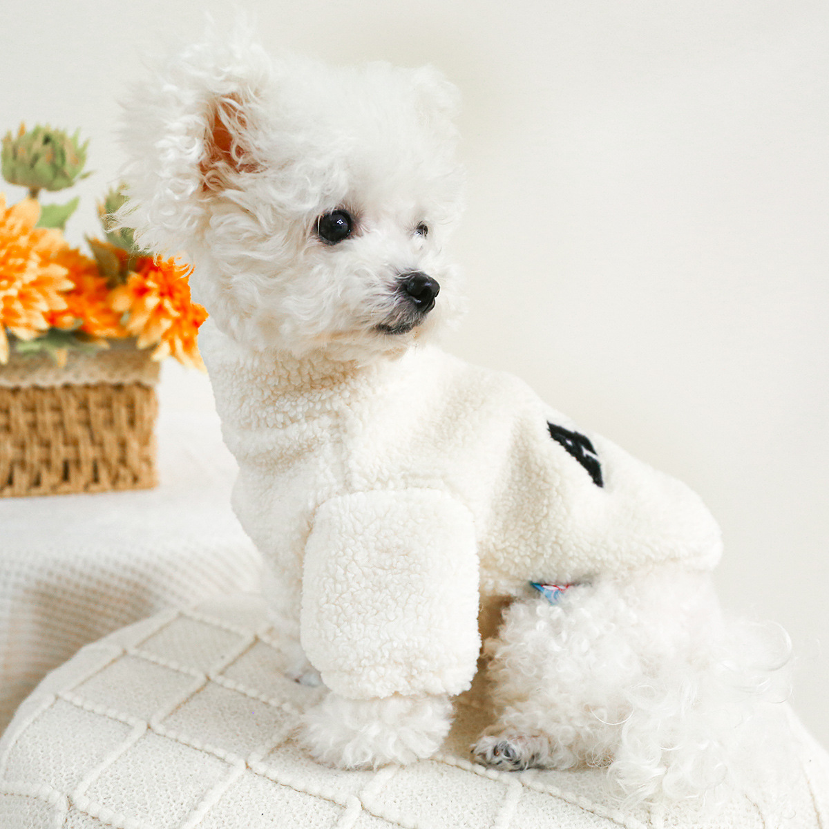 Pet Fall - Winter Warm Zipper Hoodie
