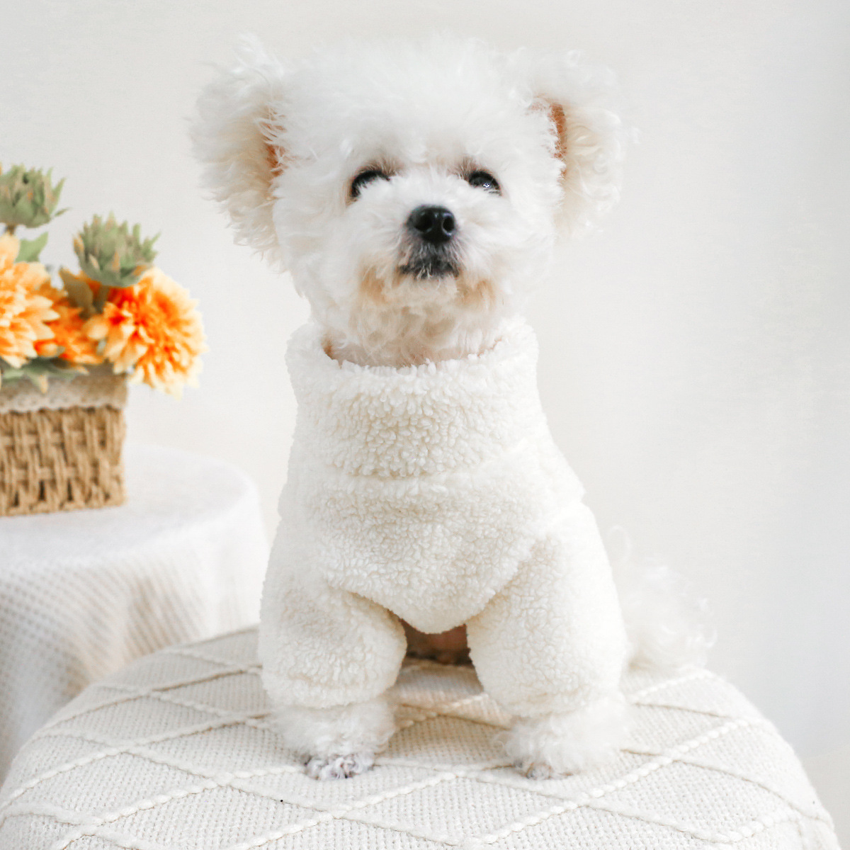 Pet Fall - Winter Warm Zipper Hoodie