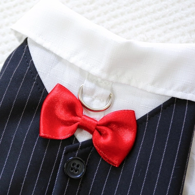 Pet Tuxedo with Red Bow Tie 02