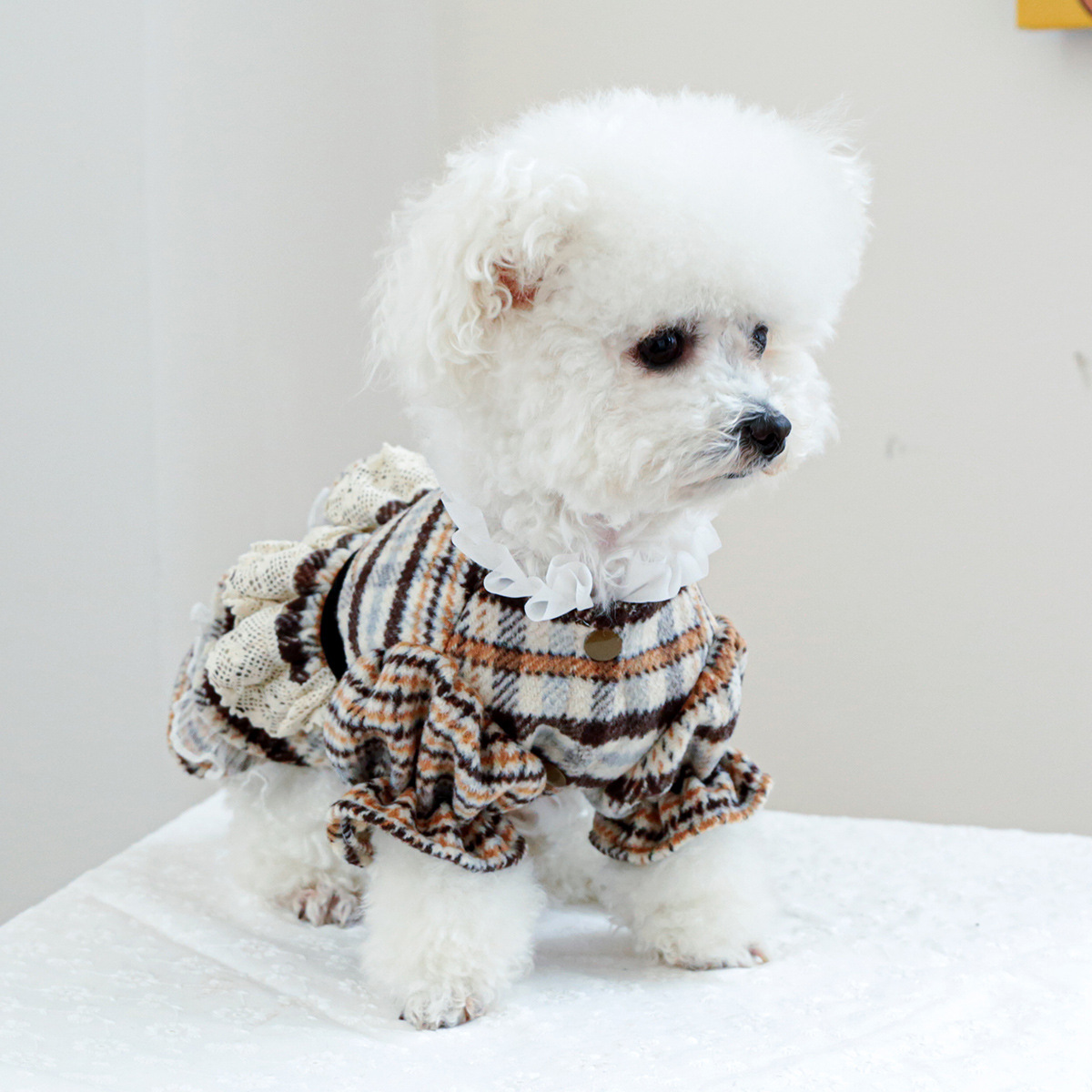 Pet Autumn Winter Marled Knit Dress