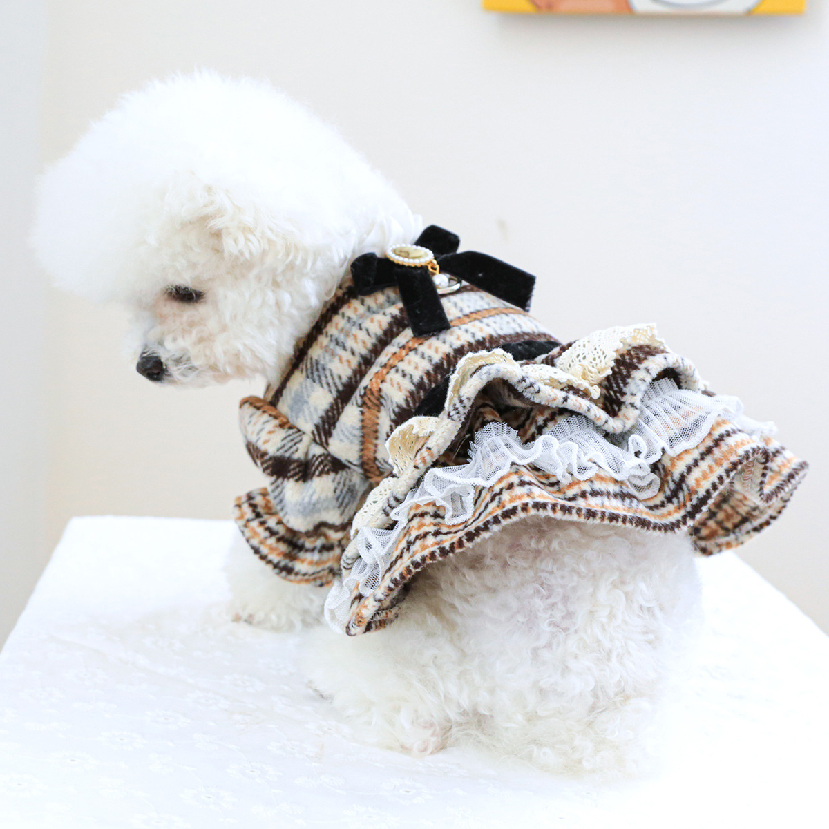 Pet Autumn Winter Marled Knit Dress