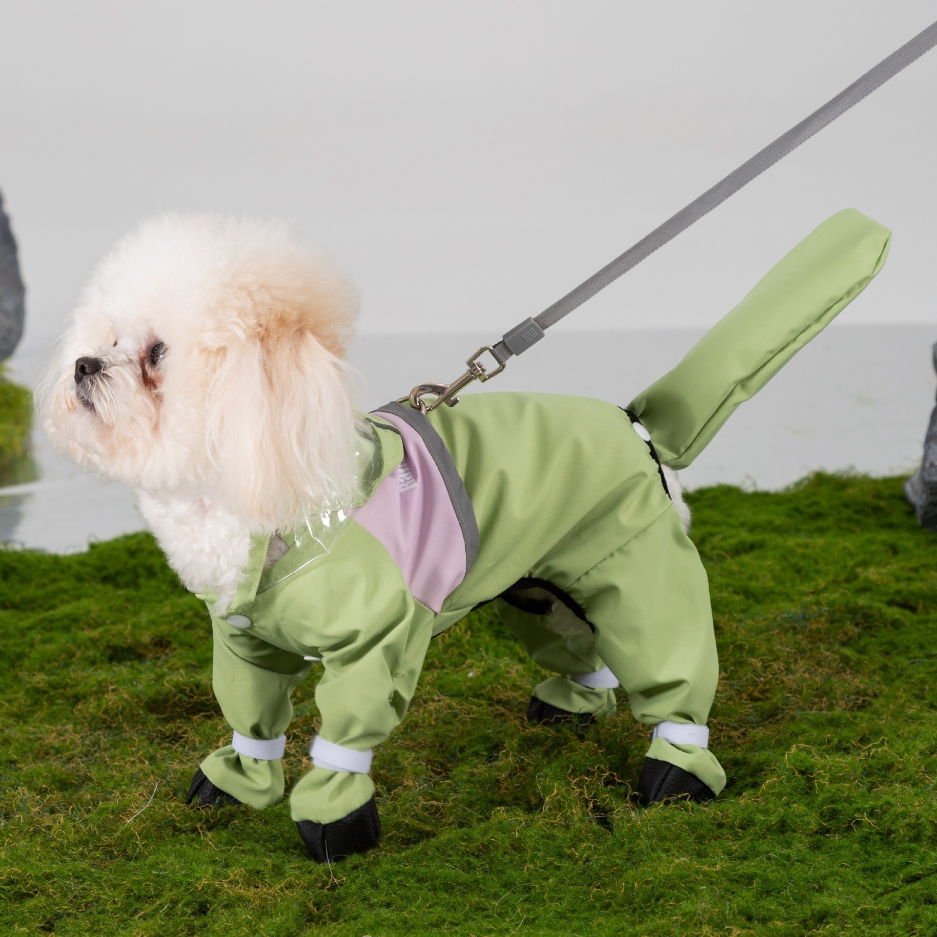 Adorable Dog All Weather Rain Suit
