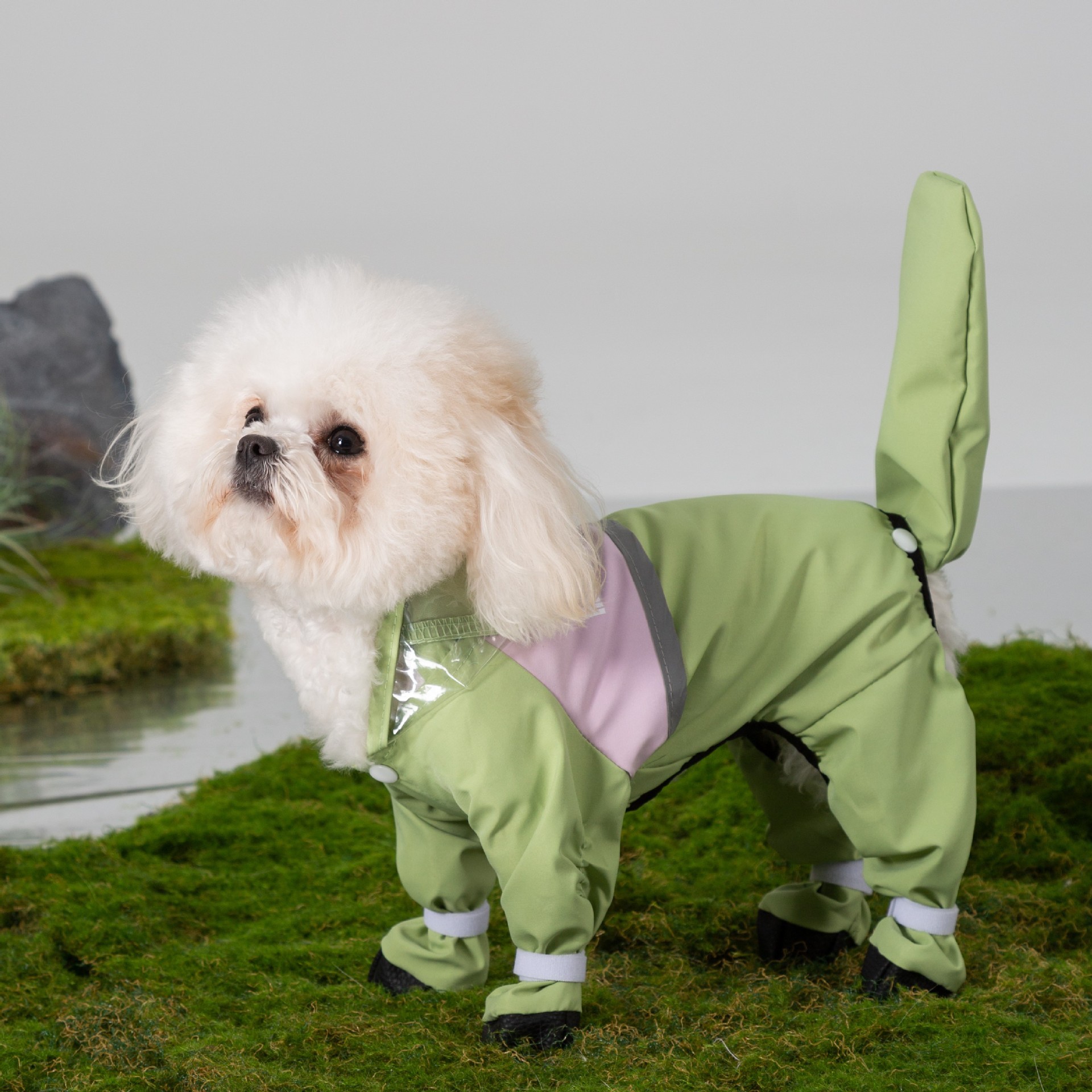 Adorable Dog All Weather Rain Suit