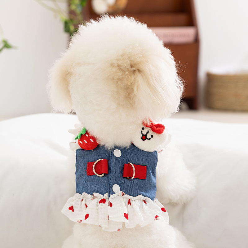 Cute Strawberry Pet Leash Dress