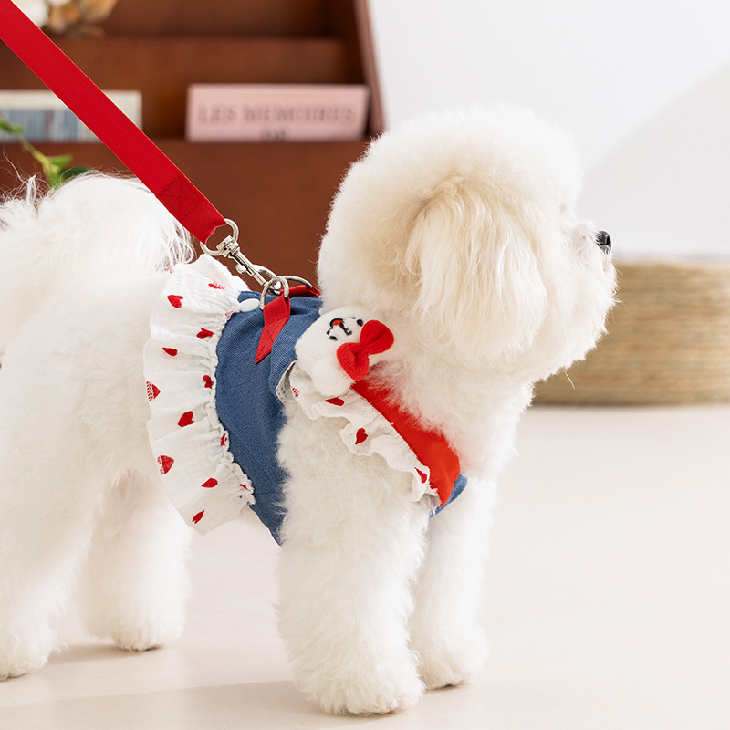 Cute Strawberry Pet Leash Dress