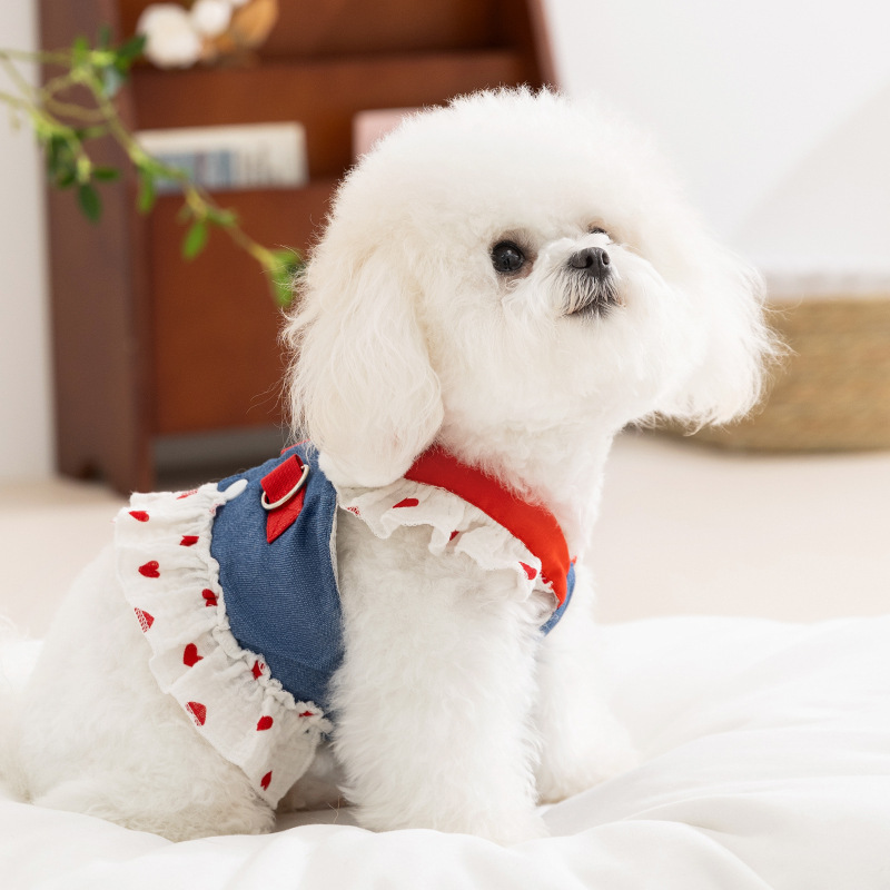 Cute Strawberry Pet Leash Dress