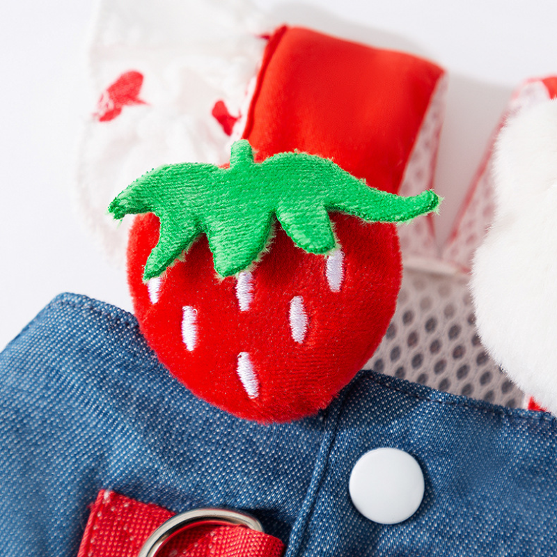 Cute Strawberry Pet Leash Dress