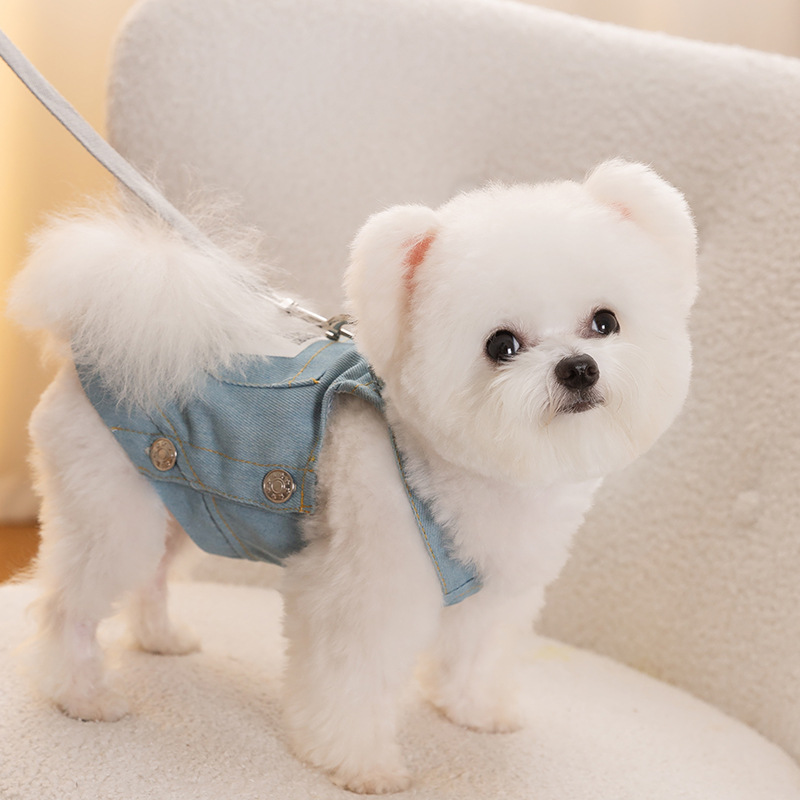 Summer Pet Denim Pocket Overalls Dress