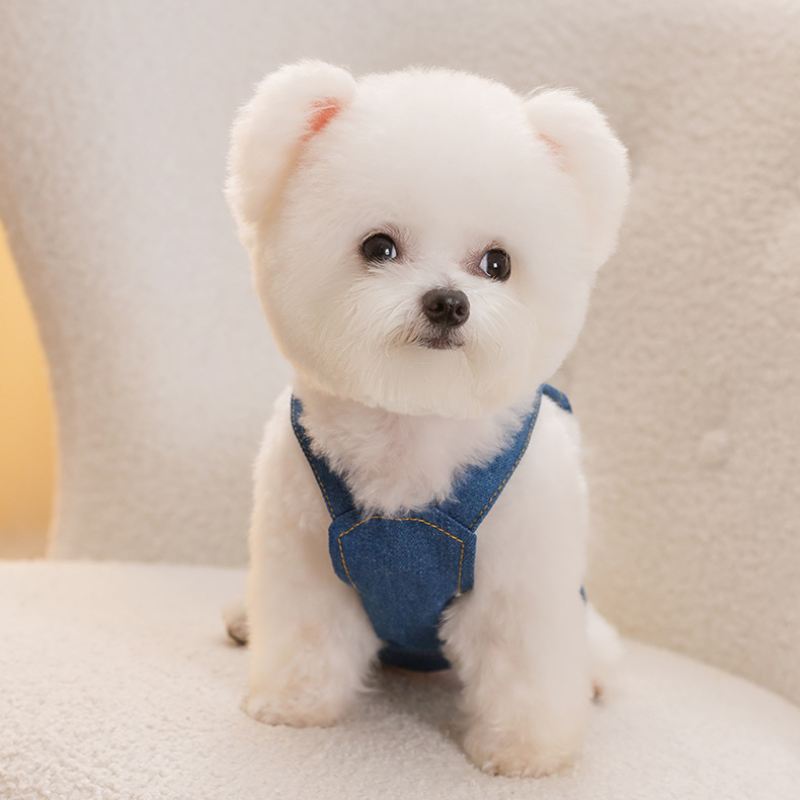 Summer Pet Denim Pocket Overalls Dress