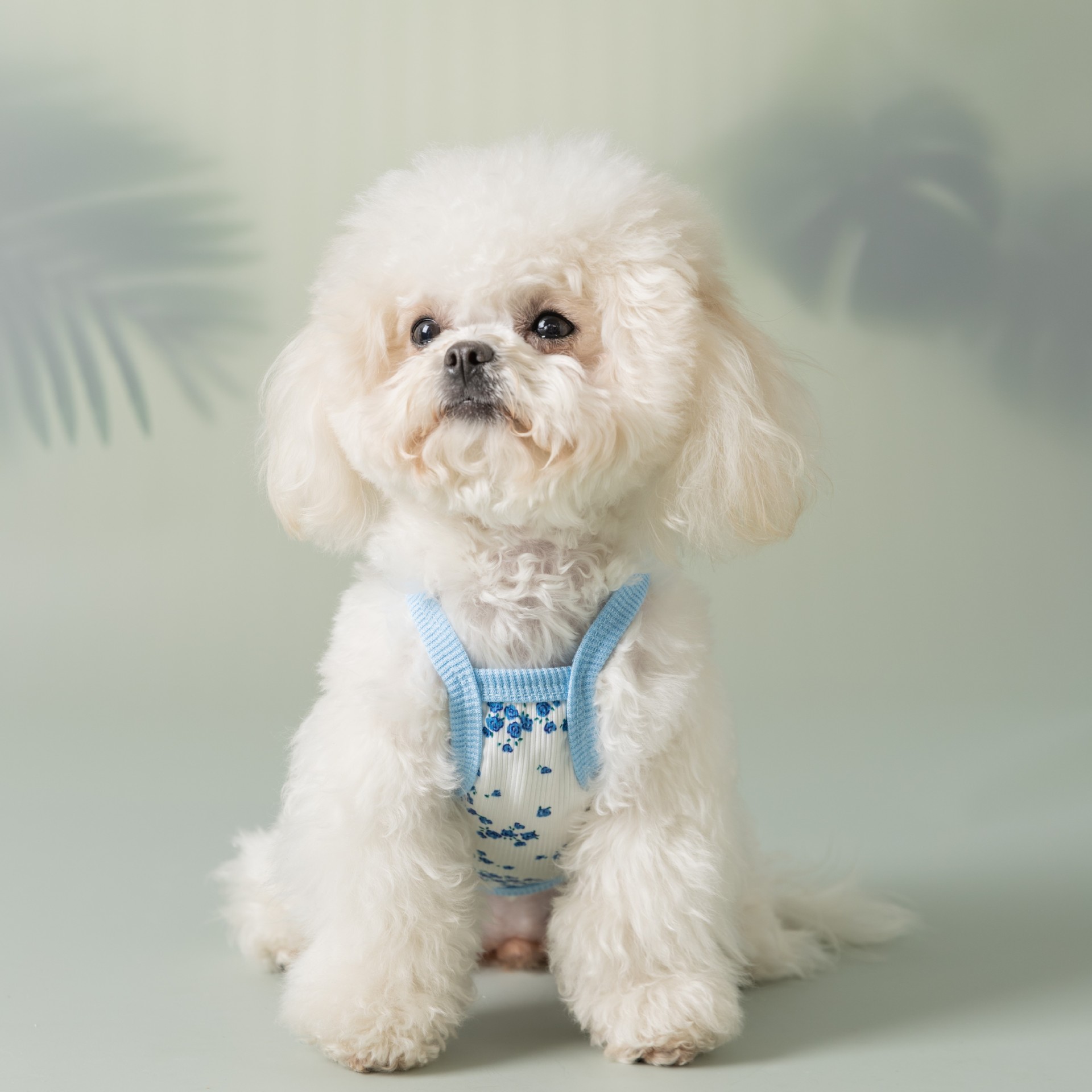 Pet Summer Chiffon Suspender Dress