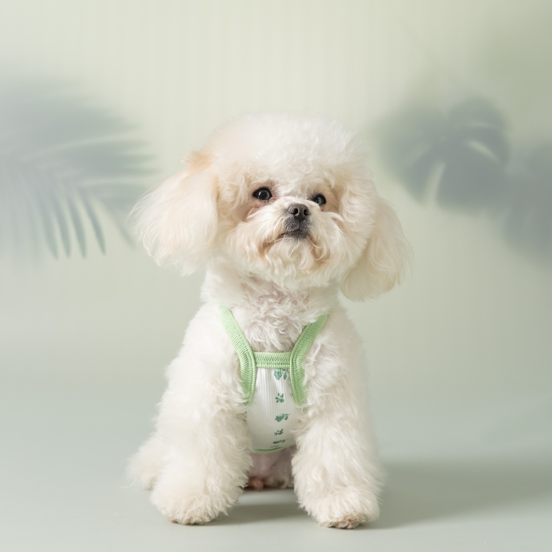 Pet Summer Chiffon Suspender Dress