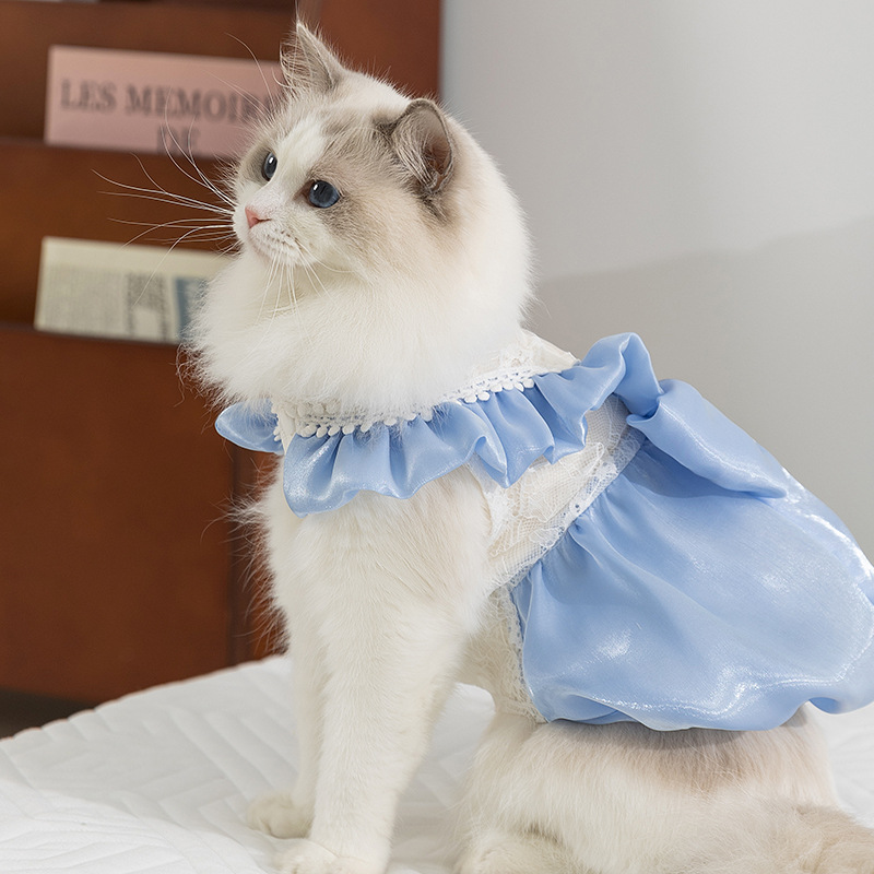 Kitty Summer Princess Dress with Large Bow