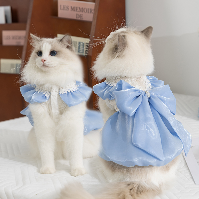 Kitty Summer Princess Dress with Large Bow