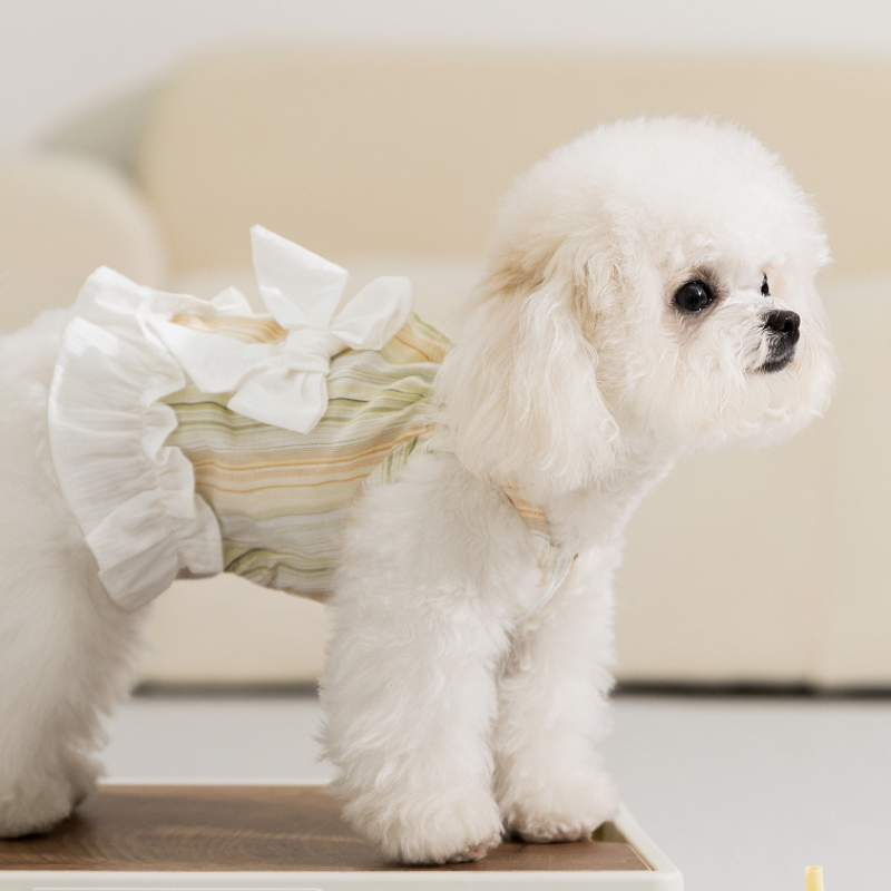 Striped Bow - Tie Pet Suspender Dress