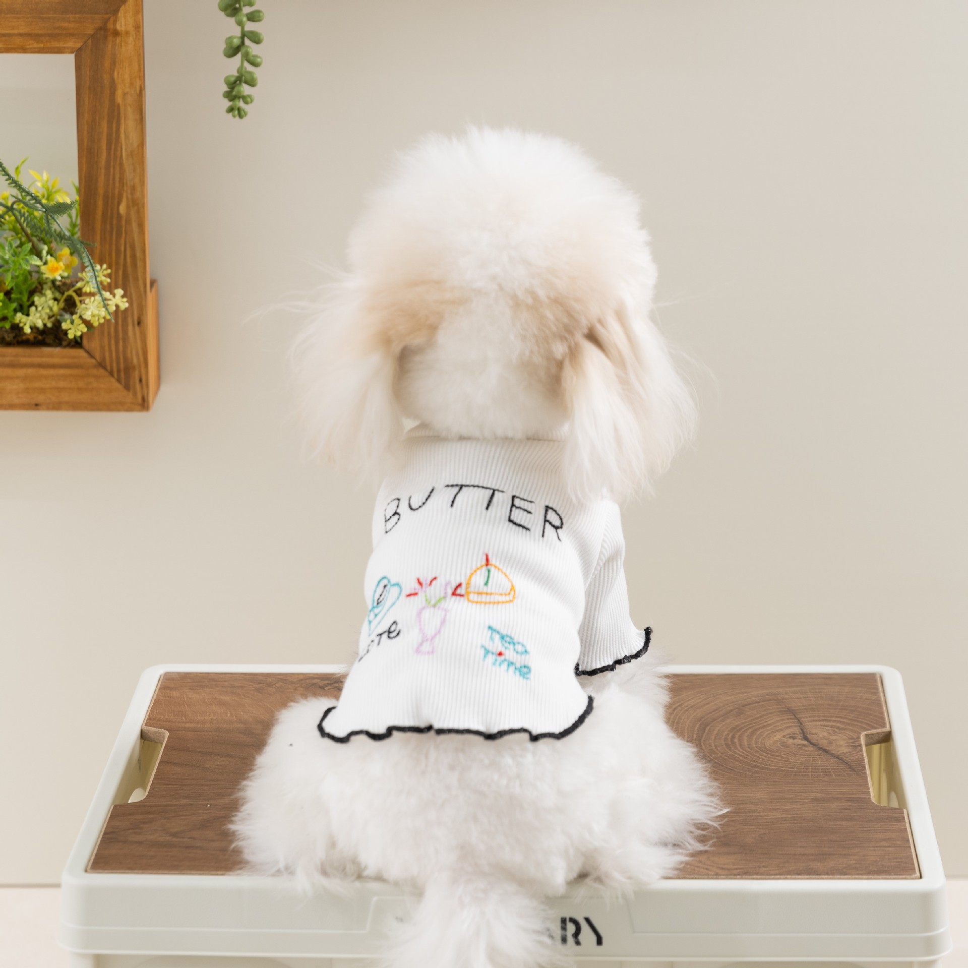 Summer Pet Thin - breathable Bottoming Shirt