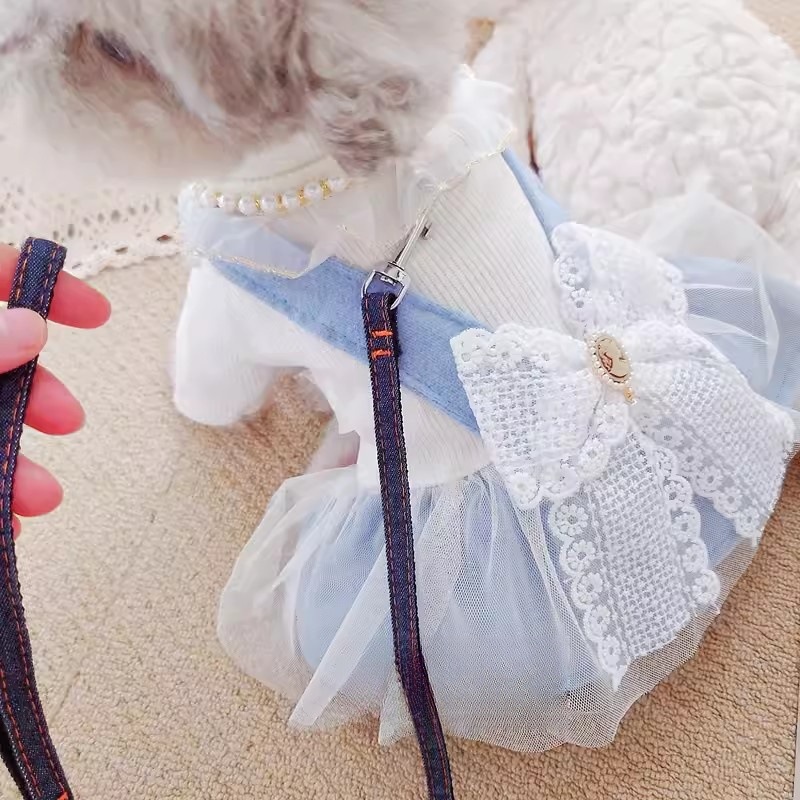 Pet Princess Dress with Traction Buckle for  Winter
