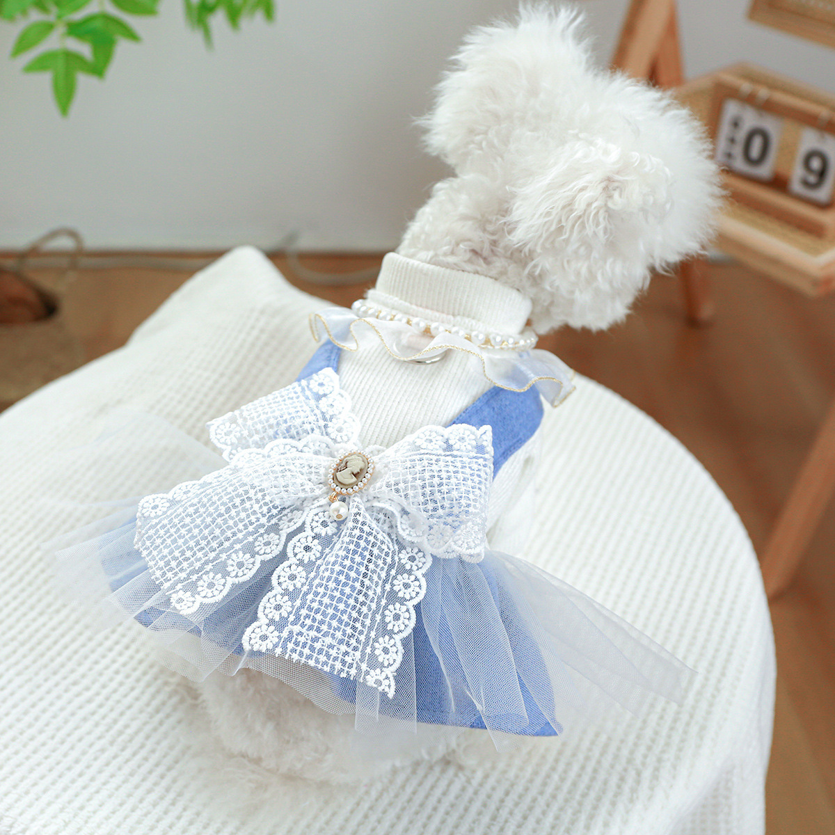 Pet Princess Dress with Traction Buckle for  Winter