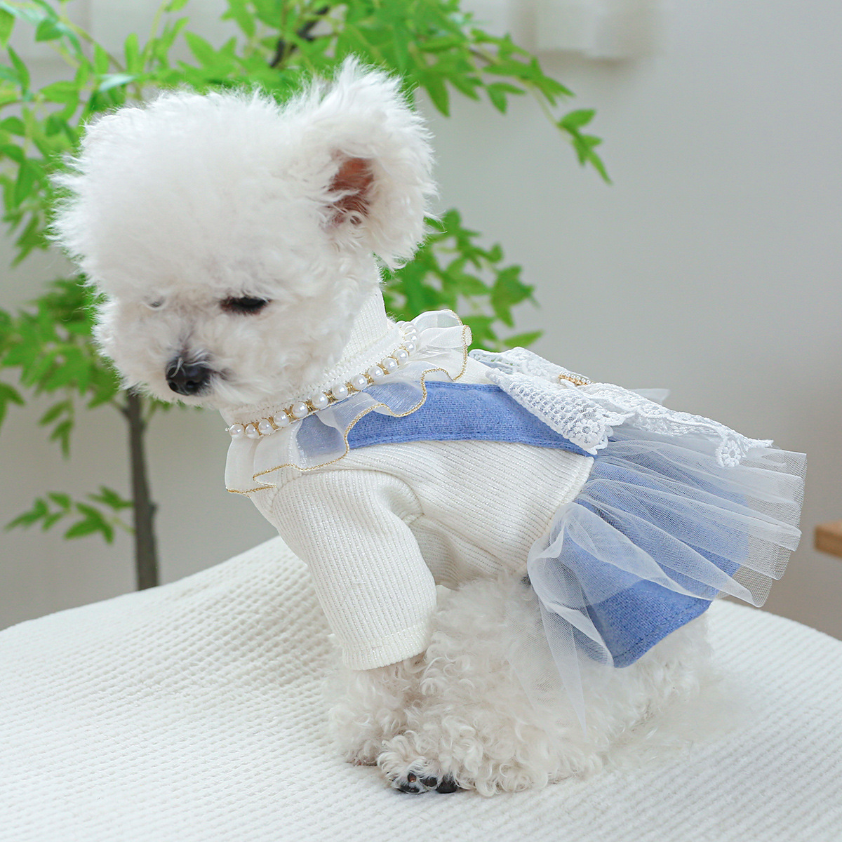 Pet Princess Dress with Traction Buckle for  Winter