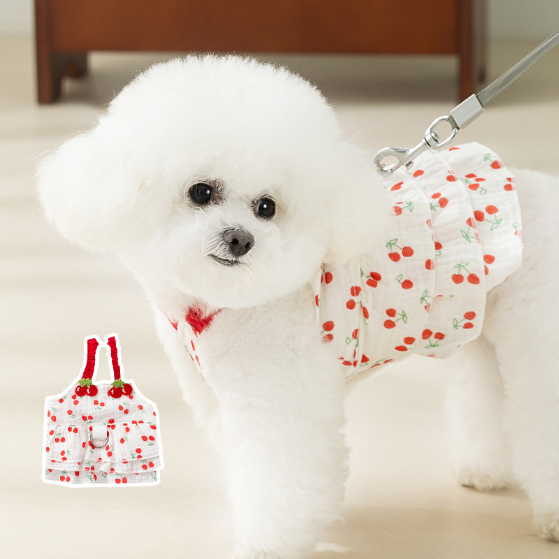 Cherry-themed pet dress with summer thin fabric and leash