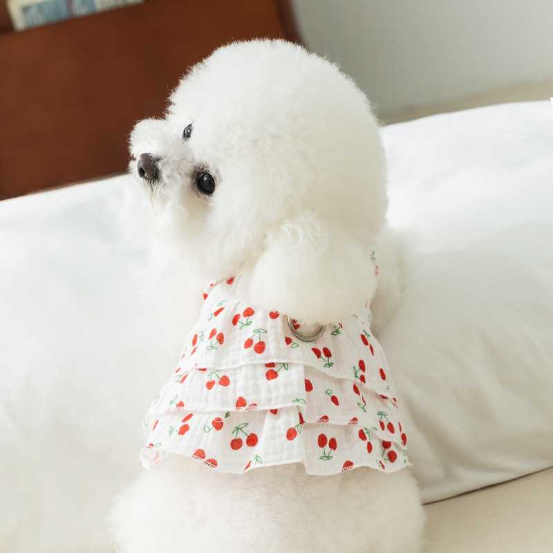 Cherry-themed pet dress with summer thin fabric and leash