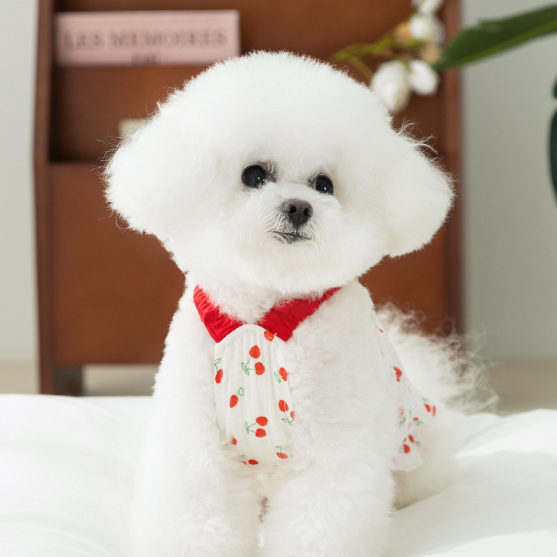 Cherry-themed pet dress with summer thin fabric and leash