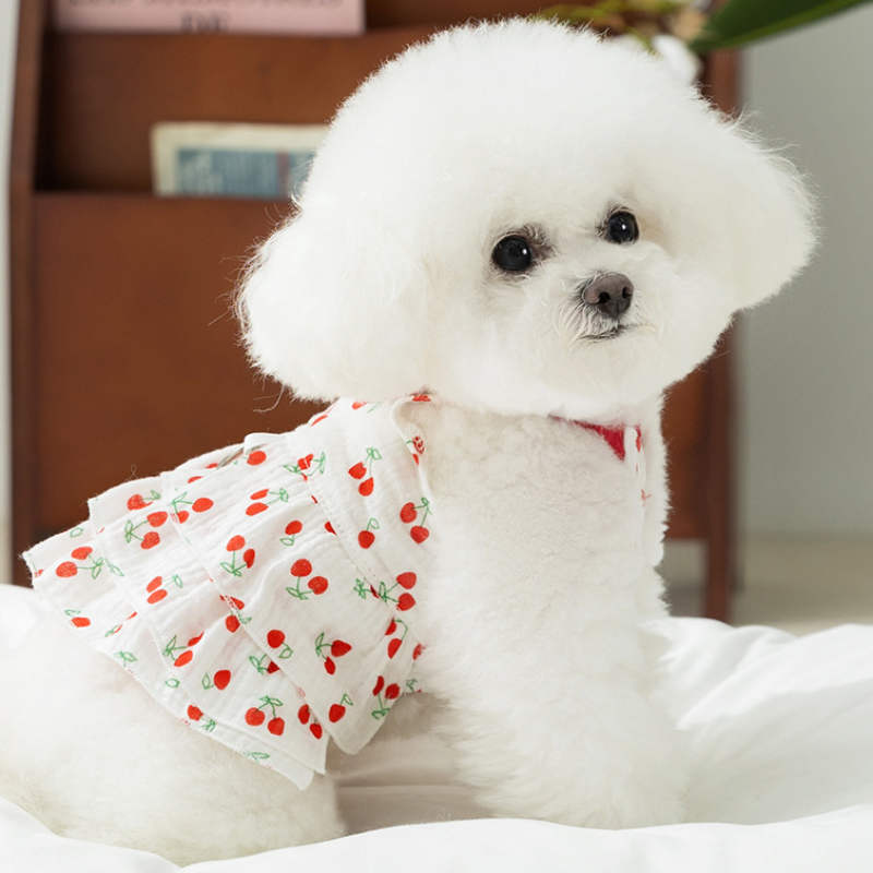 Cherry-themed pet dress with summer thin fabric and leash