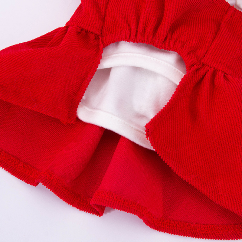 Autumn Puppy Red Bow -Tie Dress Set